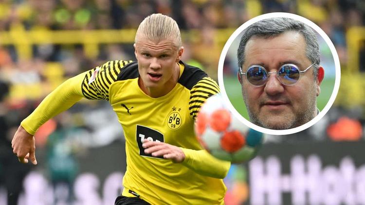 菇经处理后 菇经处理后